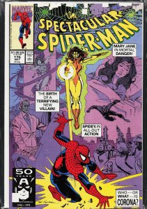 The Spectacular Spider-Man #176 (1991) Spider-Man [Key Issue]