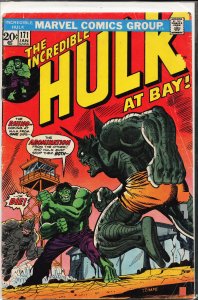 The Incredible Hulk #171 (1974) Hulk