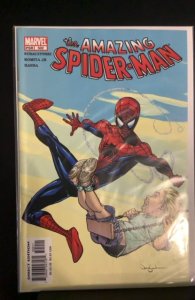 The Amazing Spider-Man #502 (2004)