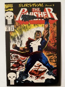 The Punisher #79 NM (1993)