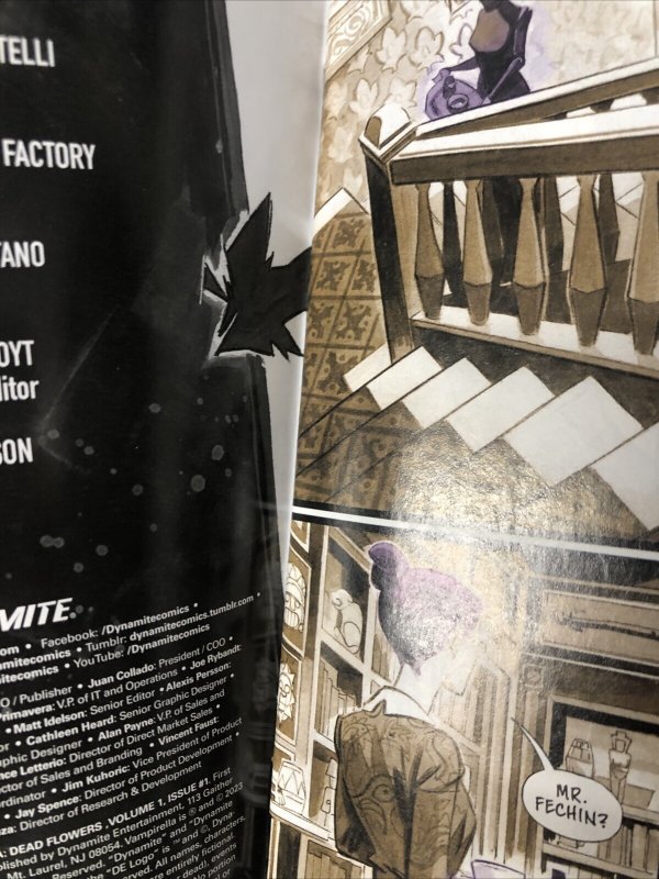 Vampirella  (2023)# 1 Variant (NM) Dynamite Entertainment • Sara Frazetta • Bob