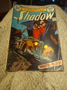 The Shadow 4 & 6 Bronze Age 1974 DC Comics Lot Run Set Kaluta Art Collection