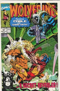 Wolverine #41 (1991) Wolverine