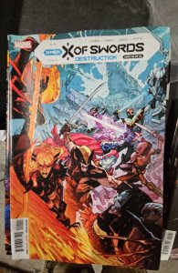 X of Swords: Destruction (2021)