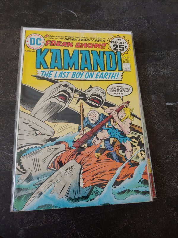 Kamandi, The Last Boy on Earth #25 (1975)