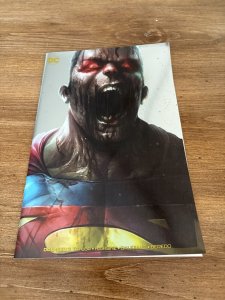 DCeased # 2 NM 1st Print Variant Cover DC Comic Book Blank 19 J294