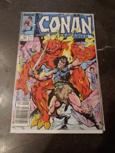 Conan the Barbarian #205 (1988)