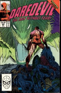 Daredevil #265 (1989) Daredevil