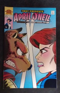 Teenage Mutant Ninja Turtles Present: April O'Neil #3 (1993)