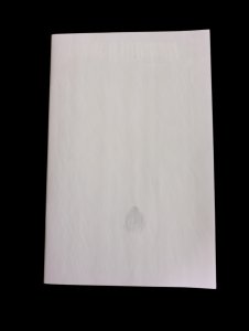 Absolute Wonder Woman Blank Sketch Variant Cover Noir Edition VF