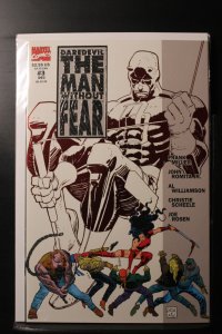 Daredevil: The Man Without Fear #3 (1993)