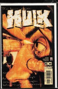 Incredible Hulk #44 (2002) Hulk