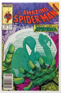 The Amazing Spider-Man #311 (1989) NEWSSTAND
