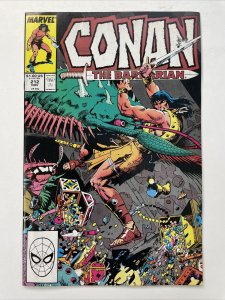 Conan The Barbarian 212