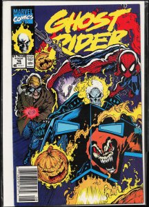 Ghost Rider #16 (1991) Ghost Rider