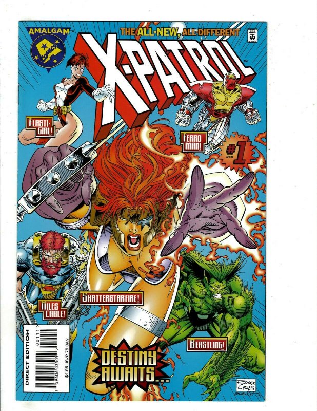 11 Amalgam Comics Bullets and Bracelets 1 Bruce Wayne SHIELD 1 Amazon 1 + RB17 