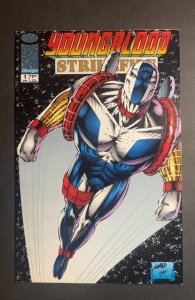 Youngblood Strikefile #1 Variant Cover (1993)