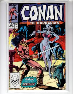 Conan the Barbarian #227 (1989)- [NSC•ECA8]