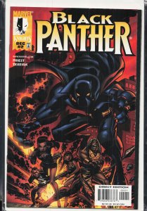 Black Panther #2 Variant Cover (1998) Black Panther