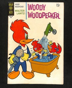 Woody Woodpecker #49