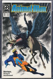 Animal Man #13 (1989) Animal Man