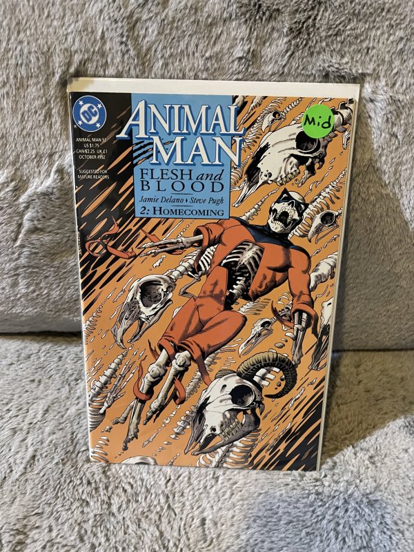 Animal Man #52 (1992)