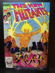 The New Mutants #12 (1984)