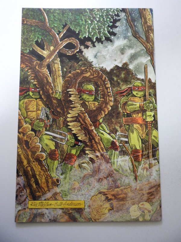 Teenage Mutant Ninja Turtles #37 (1991) VF Condition