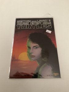 Teenage Mutant Ninja Turtles 28 Near Mint Nm Mirage