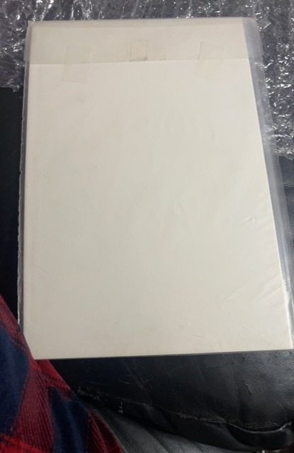 The Spectacular Spider-Man #134 (1988)