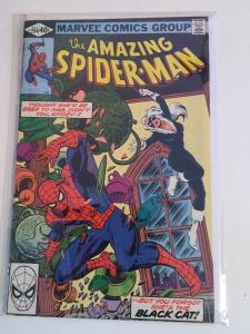 AMAZING SPIDER-MAN V1 #204  1980   THE BLACK CAT