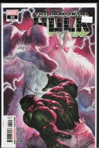 The Immortal Hulk #30 (2020) Hulk