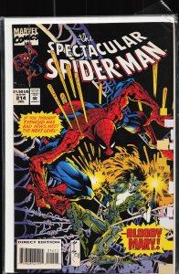 The Spectacular Spider-Man #214 (1994) Spider-Man