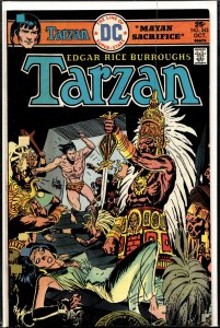 Edgar Rice Burroughs' Tarzan #242 (1975)
