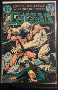 Tarzan #227 (1974)