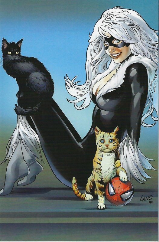 AMAZING SPIDER-MAN #31 Greg Land 1:50 Black Cat Virgin Variant Cover !!!   NM