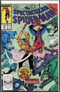 The Spectacular Spider-Man #147 (1989) Spider-Man