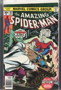 The Amazing Spider-Man #163 (1976) Spider-Man