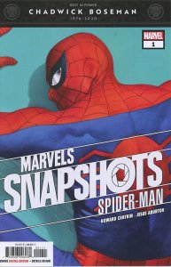 Spider-Man: Marvel Snapshots #1  9.0 (our highest grade)  Chaykin Story & Art!