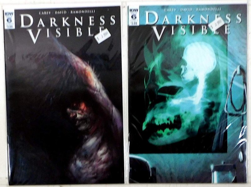 Darkness Visible Lot of 2 #6, 6 B (2017) IDW Publishing 1st Print Comic Books