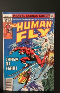 The Human Fly #13 (1978)