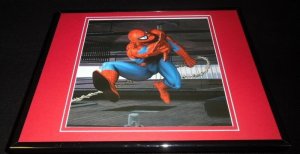 Amazing Spiderman Swinging Between Buildings Framed 11x14 Photo Display