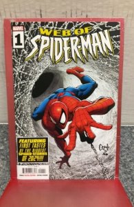 Web of Spider-Man (2024)