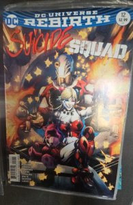 Suicide Squad #12 Variant Cover (2017)