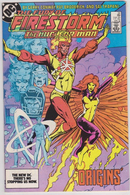 The Fury of Firestorm #22 (1984)