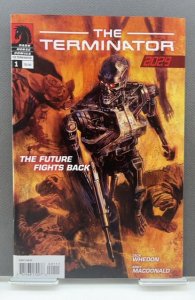The Terminator: 2029 #1 (2010)