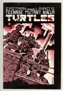 Teenage Mutant Ninja Turtles #1 Third Print Cover (1984)