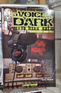 A Voice in the Dark #1 (2013)