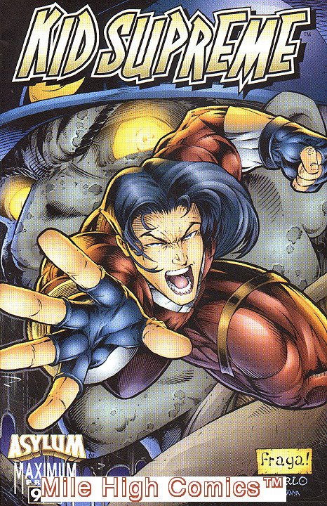 ASYLUM  (1995 Series)  (IMAGE/MAXIMUM) #9 Very Good Comics Book