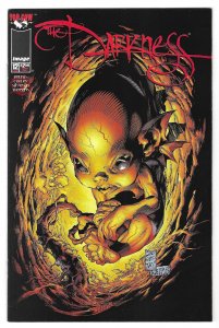 The Darkness #12 (1998)